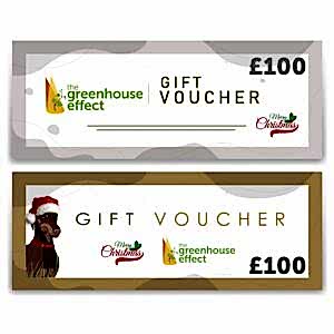 GIFT VOUCHER £100, Gift Vouchers