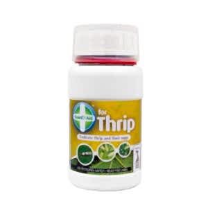 Guard n Aid for Thrip 250ml, Guard n Aid, Pest & Disease, Pest Control