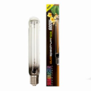 Sunmaster 600W 400V Dual Spectrum Lamps, Bulbs, Sunmaster