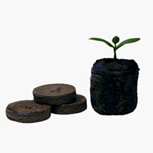 Jiffy 7 Peat Pellet 38mm, Propagation Media, Propagation Media, Soil, Propagation Media, Jiffy 7