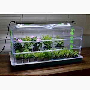 Vitopod Unheated Propagators with LED Lights, Vitopod, Propagators, Propagation Lighting, Propagation Lighting, Propagation, Propagation Lighting, Vitopod