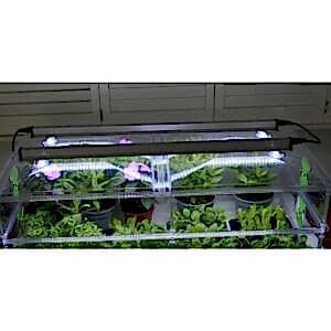 Vitopod Unheated Propagators with LED Lights, Vitopod, Propagators, Propagation Lighting, Propagation Lighting, Propagation, Propagation Lighting, Vitopod