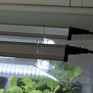 Vitopod Lighting Kits, Propagation, Sun Blaster, Propagation Lighting, Propagation & Propagators, Vitopod, Vitopod, Plant and Propagation Lighting, Propagation Lighting, Lighting, Vitopod, Propagation Lighting, Propagation Lighting