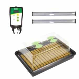 X-Stream Heated Propagator with Sunblaster LED’s, X-Stream, Propagators, Propagators, X-Stream