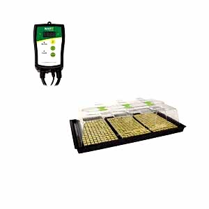 X-Stream Heat Propagators, X-Stream, Propagators, X-Stream, Propagators