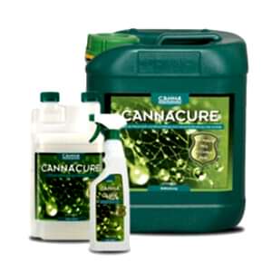 Canna Cure, Canna, Pest Control