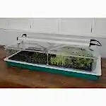 Vitopod Heated Propagators with LED Lights, Propagation Bundles, Propagators, Propagation Lighting, Vitopod, Vitopod, Propagation Bundles, Propagation Lighting, Propagation Lighting, Vitopod, Propagation Lighting