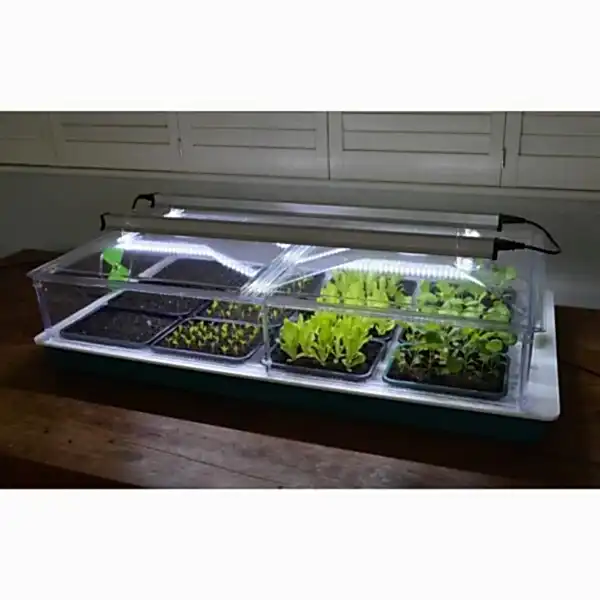 Vitopod Heated Propagators with LED Lights, Propagation Bundles, Propagators, Propagation Lighting, Vitopod, Vitopod, Propagation Bundles, Propagation Lighting, Propagation Lighting, Vitopod, Propagation Lighting