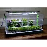 Vitopod Heated Propagators with LED Lights, Propagation Bundles, Propagators, Propagation Lighting, Vitopod, Vitopod, Propagation Bundles, Propagation Lighting, Propagation Lighting, Vitopod, Propagation Lighting