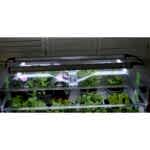 Vitopod Heated Propagators with LED Lights, Propagation Bundles, Propagators, Propagation Lighting, Vitopod, Vitopod, Propagation Bundles, Propagation Lighting, Propagation Lighting, Vitopod, Propagation Lighting